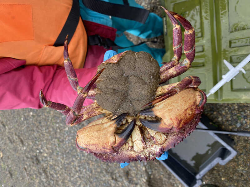 img_9579-(3)-(1)-(1)_optimized