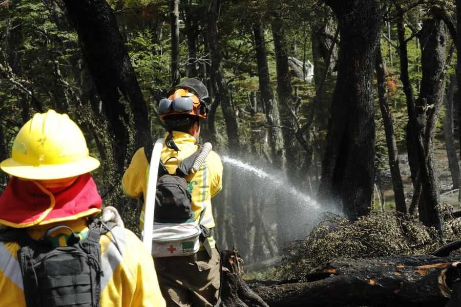 Conaf incendios