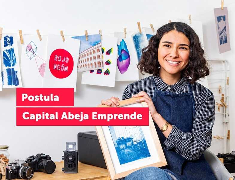 capital-abeja-(2)-(1)_optimized