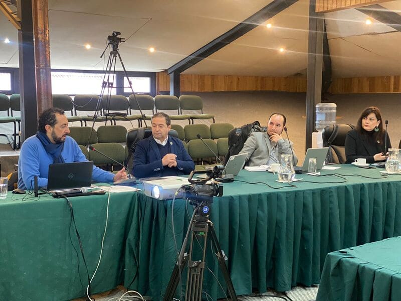 DIFUSIÓN BAGUALES CONCEJO AYSEN-2-2