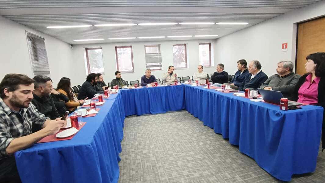 Presentación proyecto Alto Baguales en CChC (1) (1)