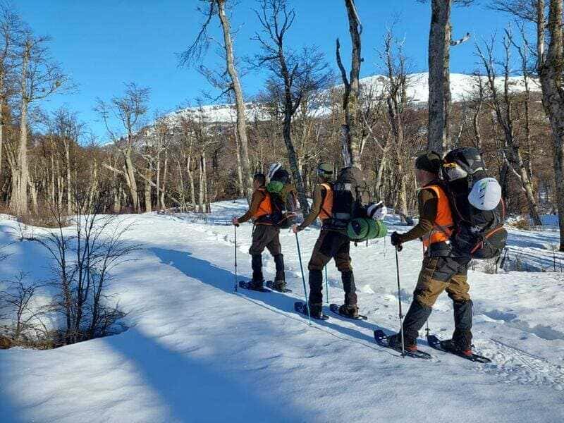 ac3969b8-6ffd-4bc6-b2a3-d60118c36c0b-2-2_optimized-2