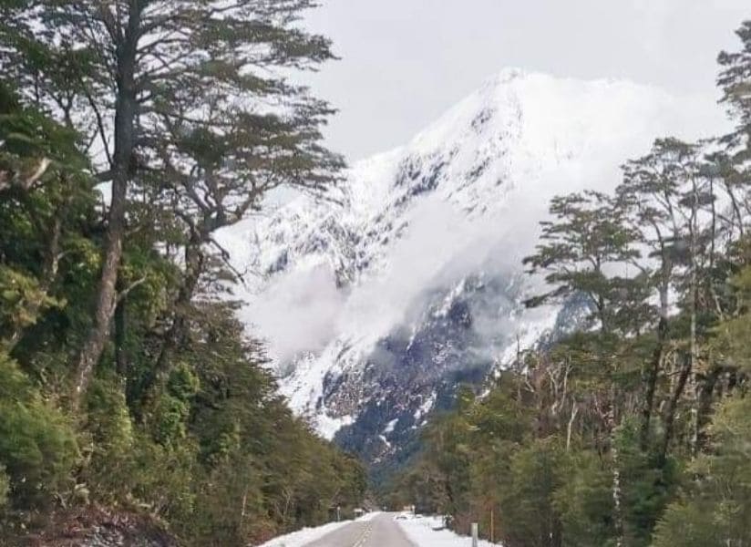 image - 2023-08-31T221732.091 (1)