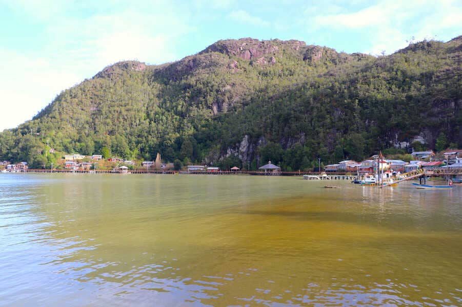 tortel-2-(1)_optimized (1)