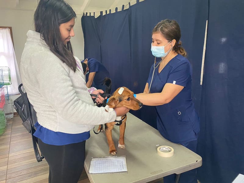 unnamed (18) (1) (2)