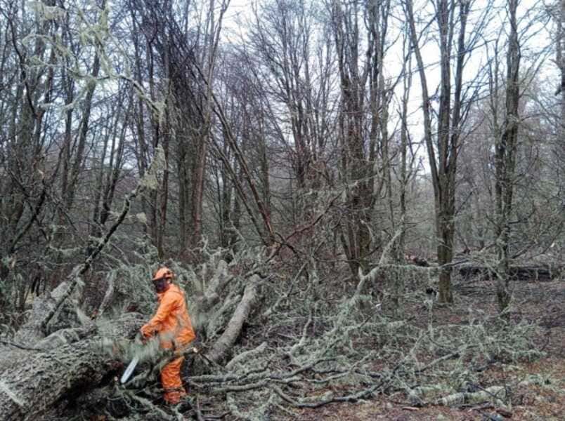 3-(5)-(1)-(1)_optimized (1)