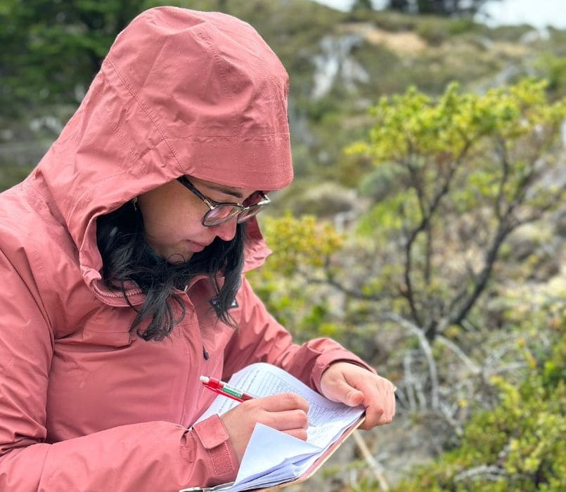 apicultura - 2023 (1)