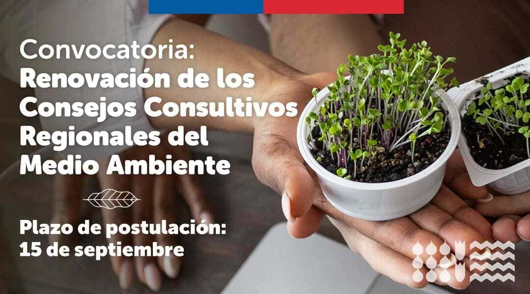 consejos_consultivos_sept_2-(1)-(1)_optimized (1)