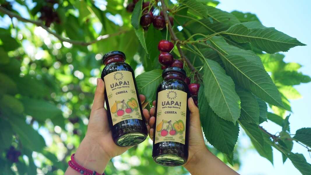 dsc06815-scaled-(1)_optimized