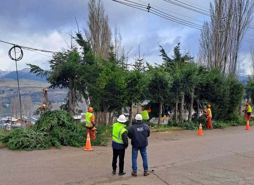 podas-4-(1)-(1)_optimized (1)