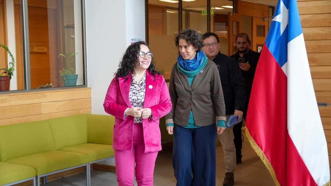 recambio calefactores 2 (1) (1)