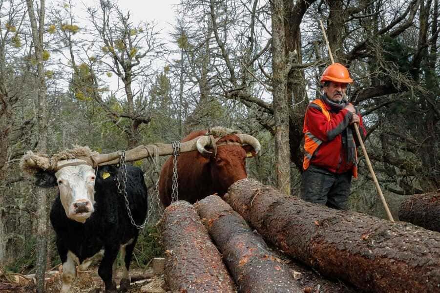 whatsapp-image-2023-09-06-at-14_optimized.26.25-(1)-(1) (1) (1)