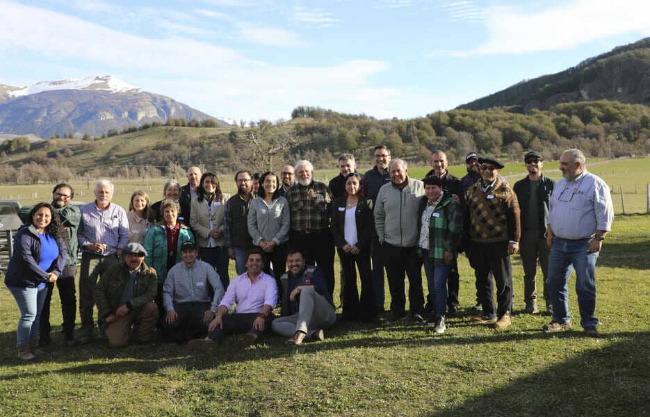 1z9a9355-(1)-(1)_optimized (1)