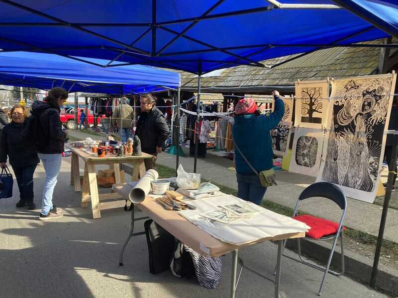 culturas-aysen_rava_dia-aavv3-(1)_optimized