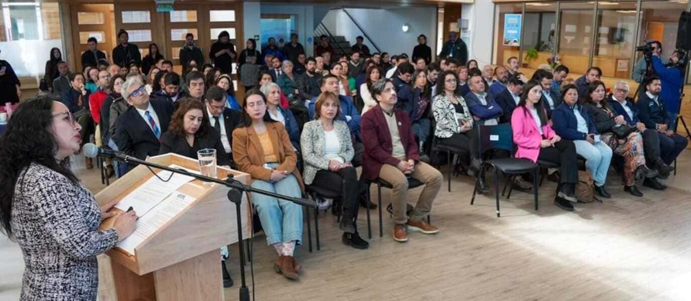 pdze-5-(1)_optimized (1)