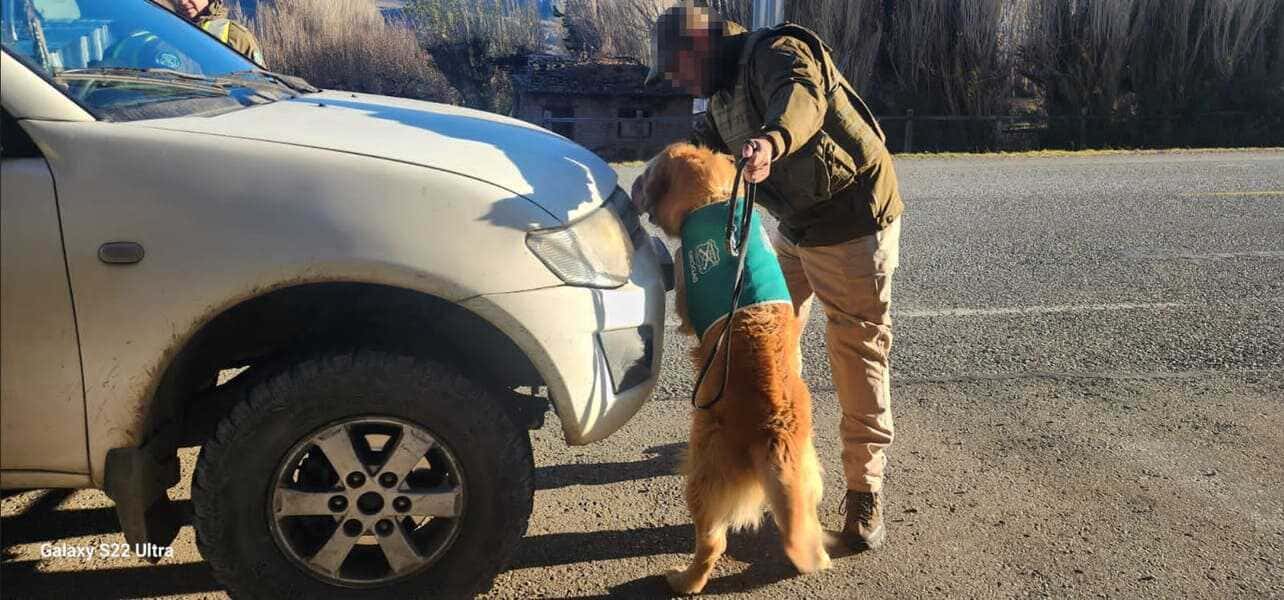 92d2eac7-6cf7-4423-9d50-f384283df678-(1)-(1)_optimized (1)