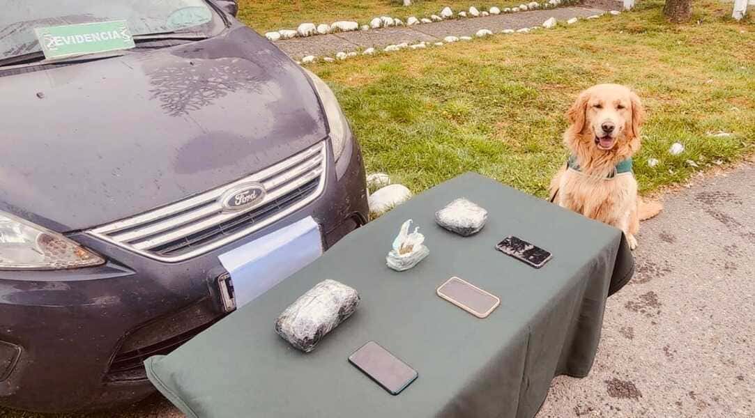 evidencia_incautacion-la-junta-(1)_optimized (1)