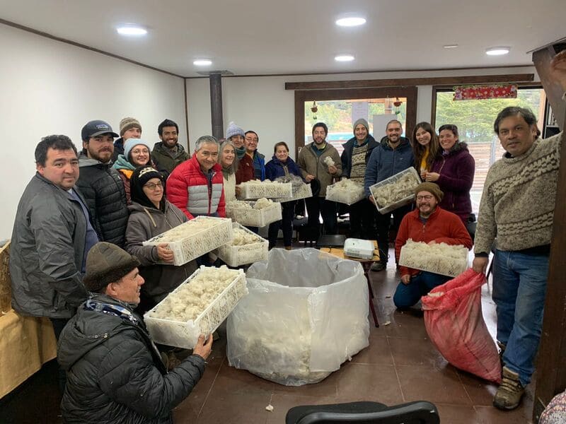 Taller de aislamiento con lana de oveja en Puerto Bertrand (1) (1)
