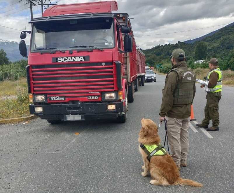 18d13569-36cb-49ef-ad65-24ca89425429-(1)_optimized