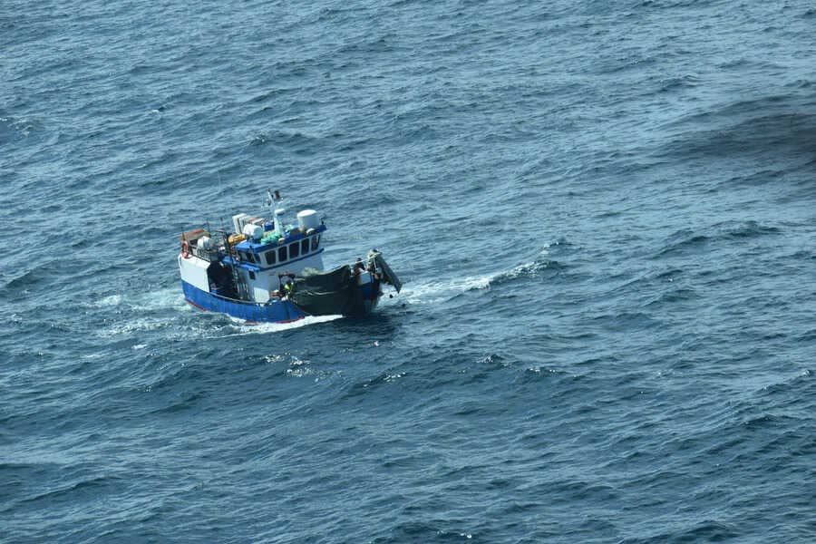 36-(1)_optimized (1)