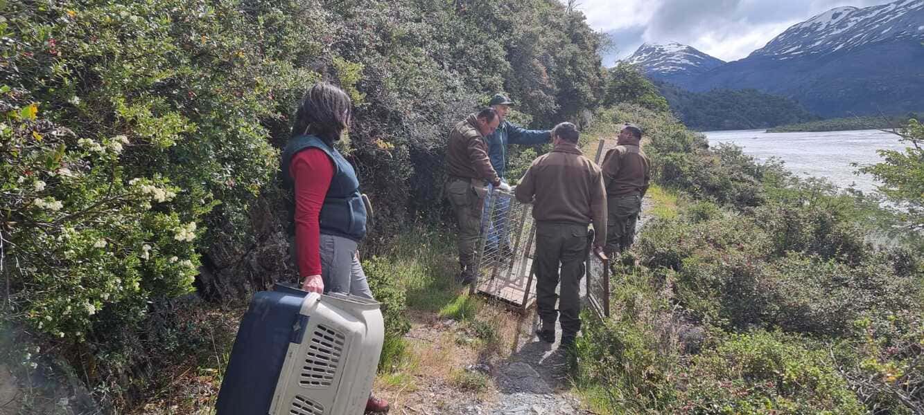 Segunda trampa (1) (1)