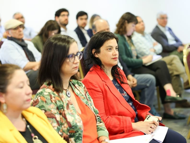 Subsecretaria y directora de Odepa (1) (1)