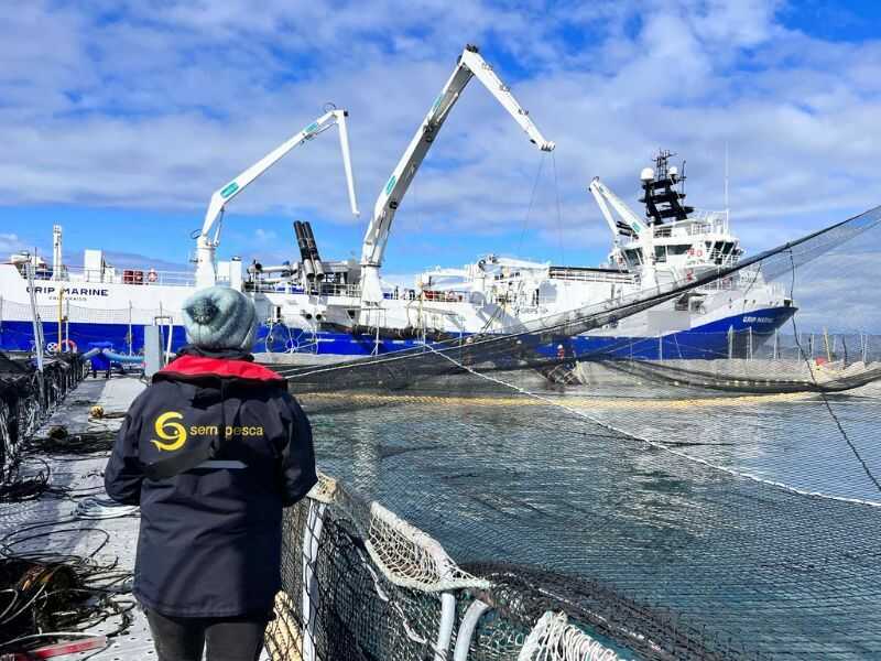 imagen-referencial-3_optimized