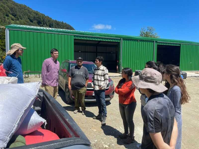 img-bhindap2-(1)_optimized