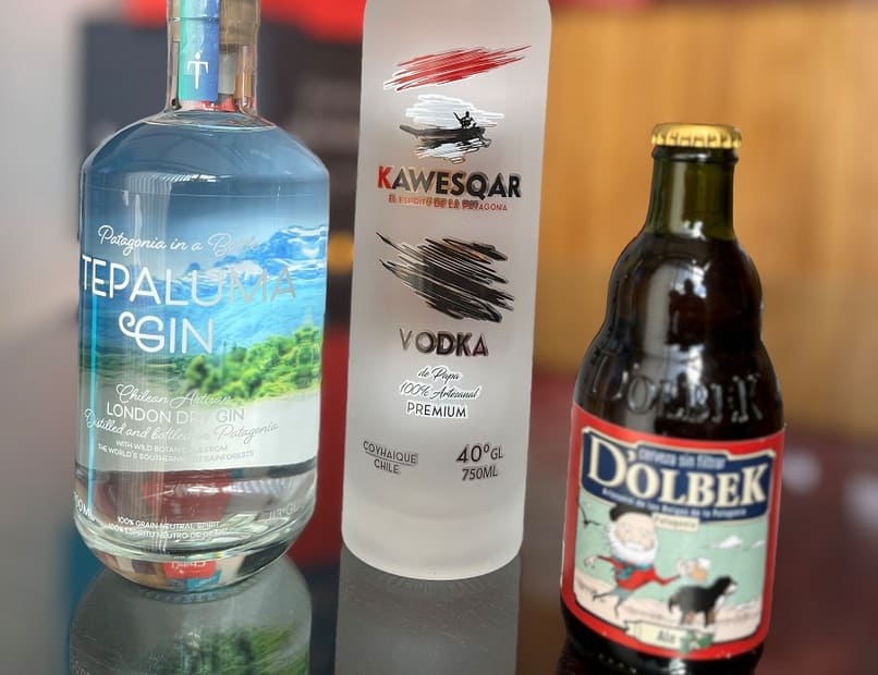 aysen alcoholes (1) (1)