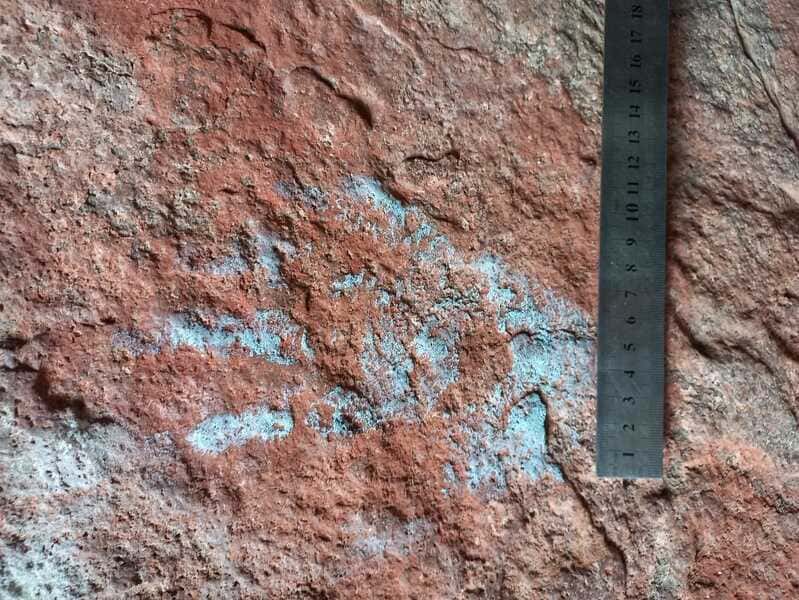 imágenes-3-y-4_optimized.-se-puede-identificar-que-la-mano-corresponde-a-una-persona-adulta-(1) (1)