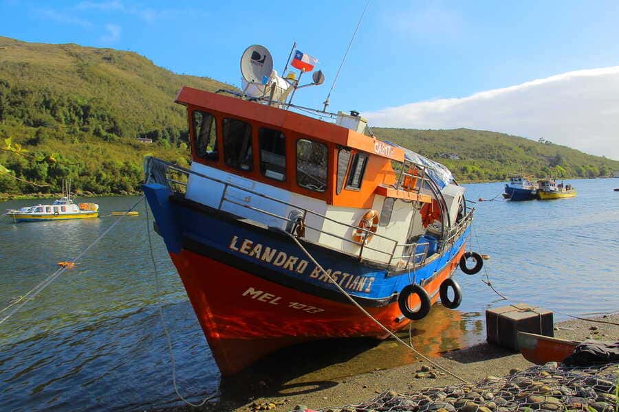 img_4995-(1)_optimized (1)