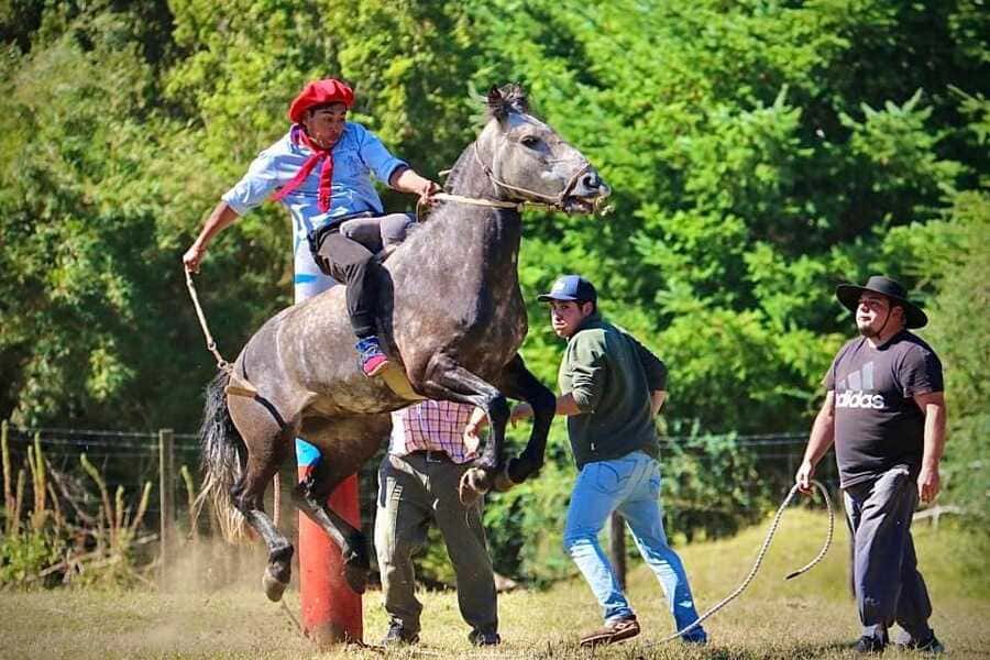 img_9490_optimized (1)