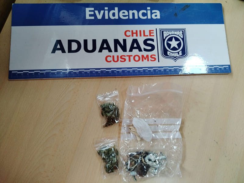 Decomiso Cisnes (1) (1)