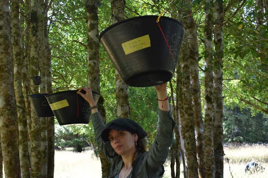 mónica-toro-(1)_optimized (1)