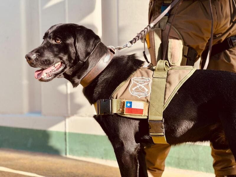 bdab8122-6686-41e2-9493-dddb021d2a5b (1) (1)