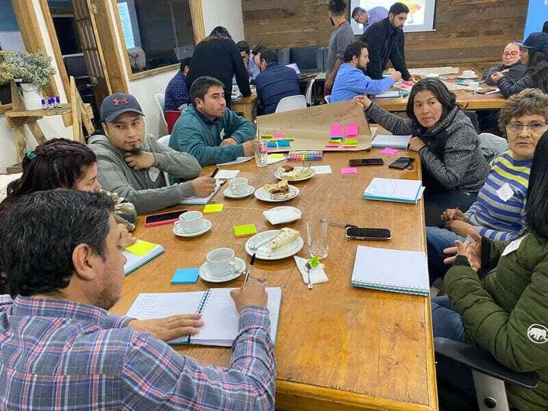 ecoterraneo13-(1)_optimized (1)