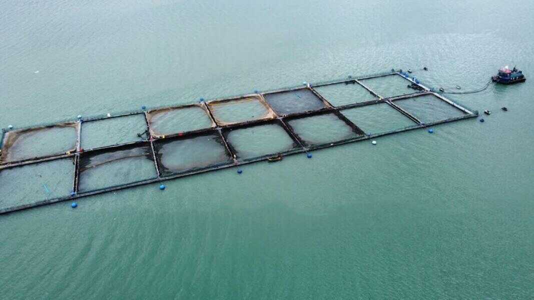 foto-genérica-centro-cultivo-(1)_optimized