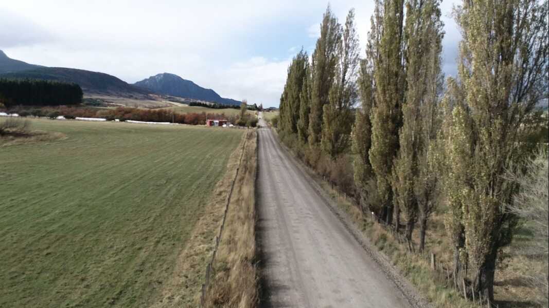 tejasverdes-bandurrias-2-(1)-(1)_optimized