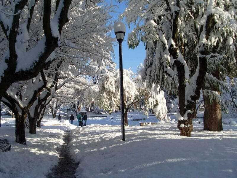 0e152de7ee47270a96dbc3a668684f7f-2-2_optimized-2