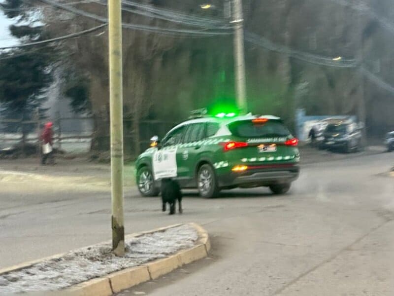 GSDI5BoXcAASUSK (1) (1)