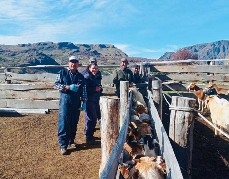 productores-caprinos-rio-ibaÑez-(1)_optimized