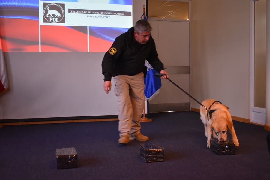 DSC_0036 (1) (1) (1)