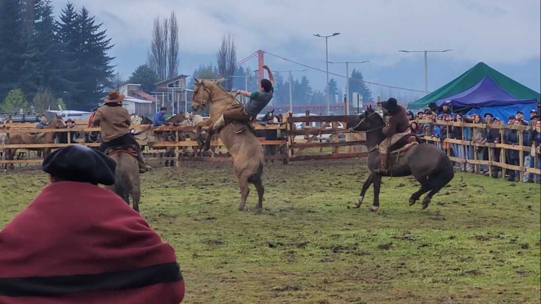 jineteadas-7-(1)_optimized