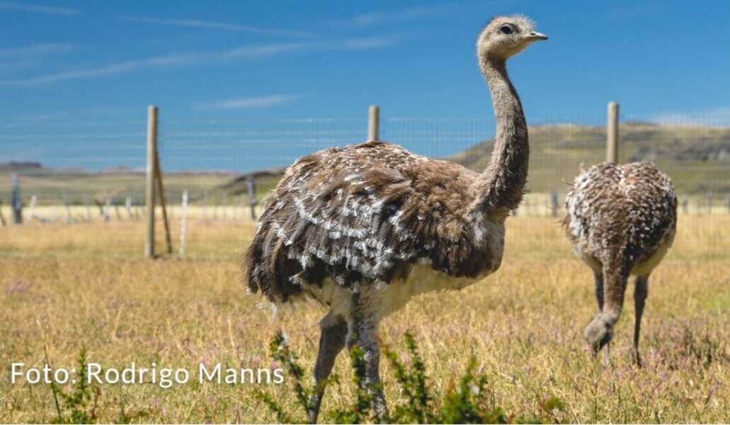 20241005_121826-2_optimized