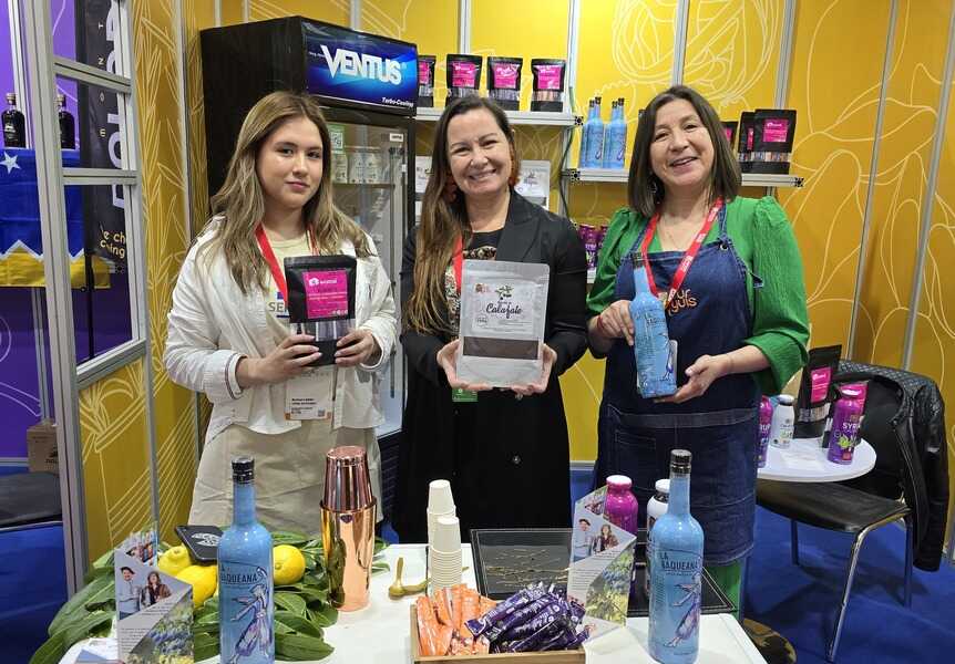 food-service-2--suryuis-aysen-2-2_optimized