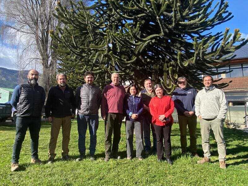 foto-credito-bosque-nativo-1-2-2_optimized-2