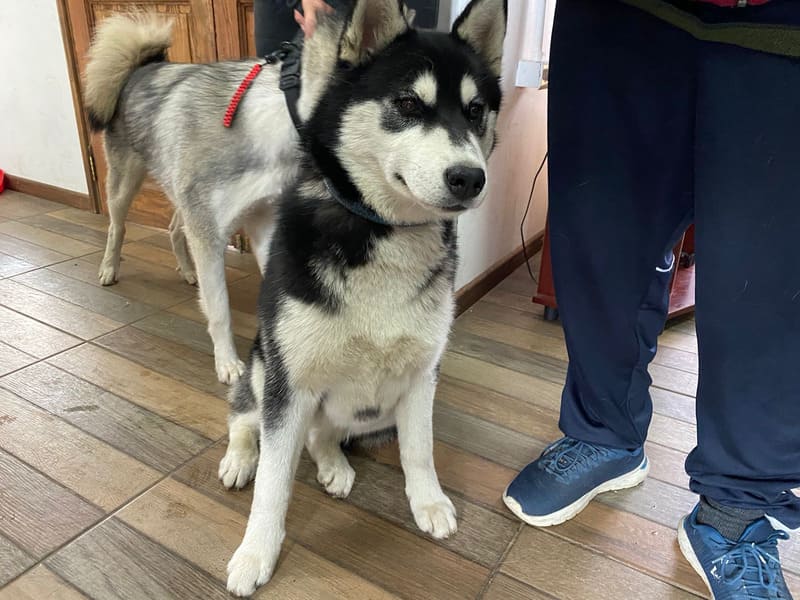 unnamed (14) (1) (1) (1)