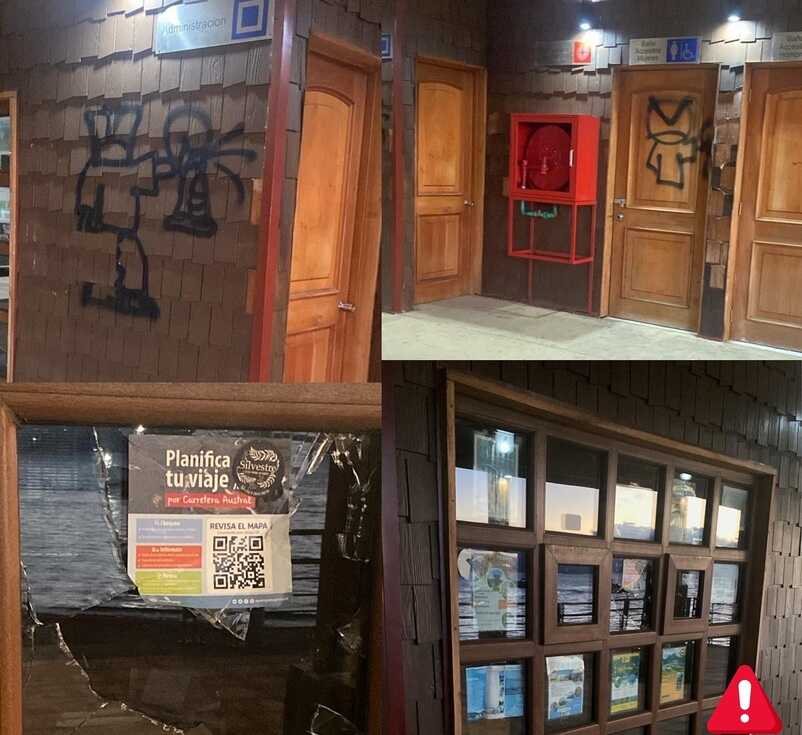 cisnes-12_optimized.12.24-(1)