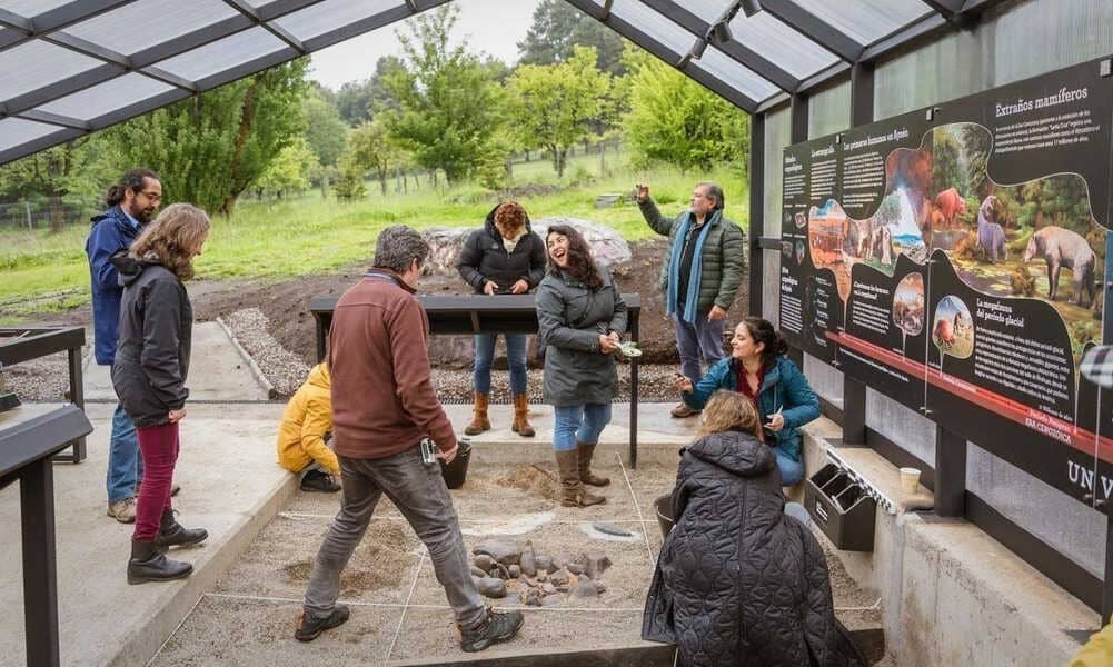 nota1-f1-(1)_optimized (1)