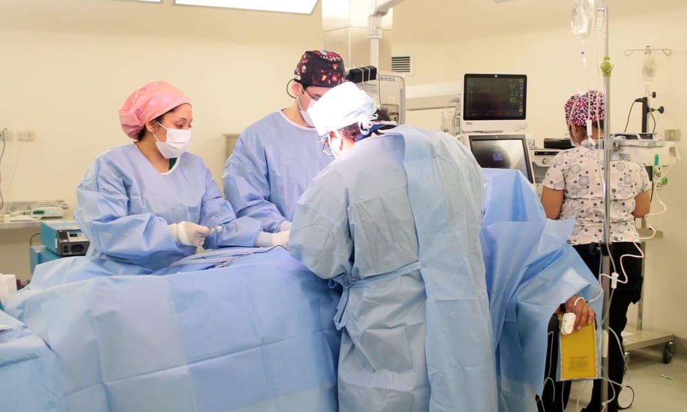 NOTA HITOS 2024 (7) (1) (1)